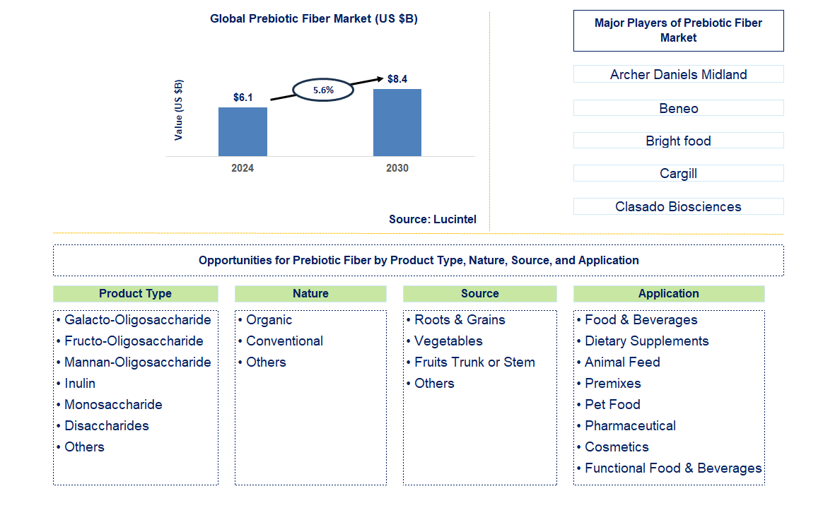 Prebiotic Fiber Trends and Forecast